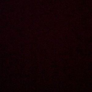 Meet your Posher, Tanner